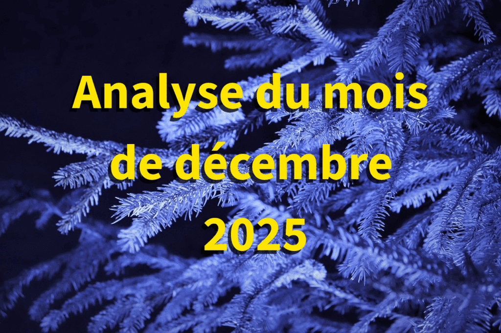 Branche de sapin givrée illuminée en bleu