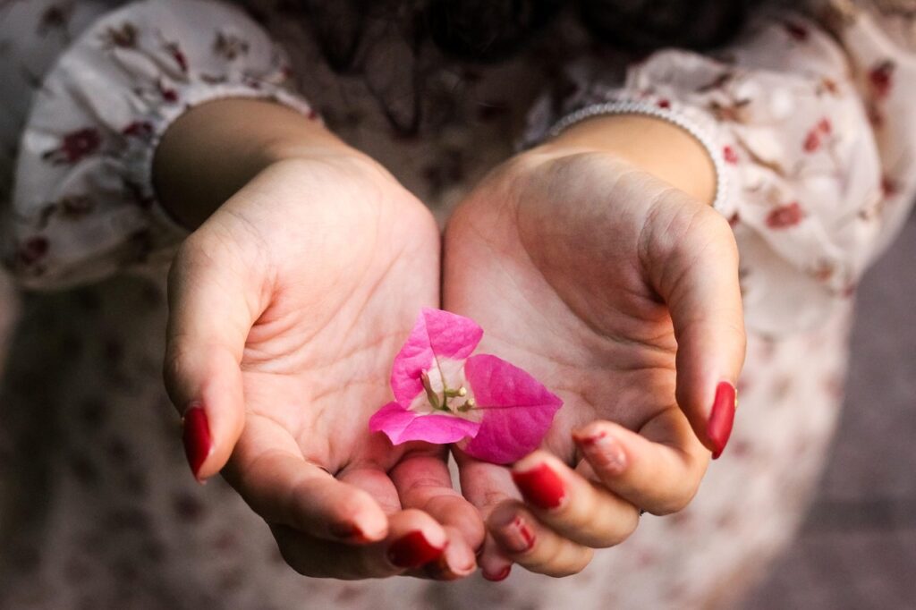 Mains ouvertes tenant une fleur rose délicate symbole d’offrande, de douceur et de renouveau intérieur pour l’année 2026.
