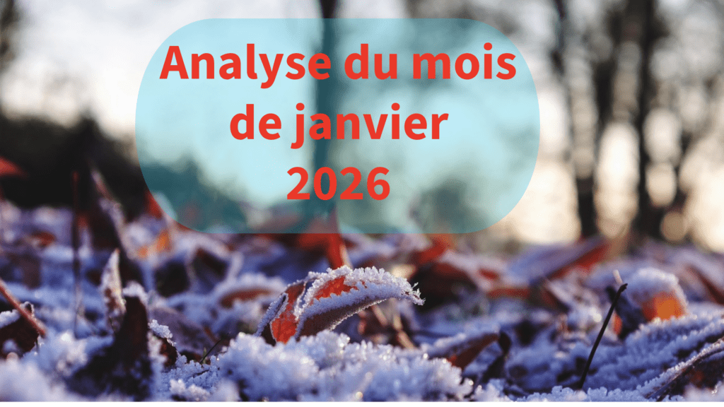 Givre sur des feuilles au sol en forêt avec le titre “Analyse du mois de janvier 2026” en rouge au centre.