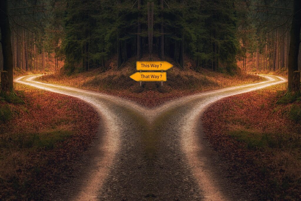 hemin qui se sépare en deux directions dans une forêt, avec des panneaux indiquant un choix à faire.